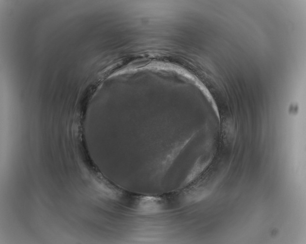 X0000096410222200802071701