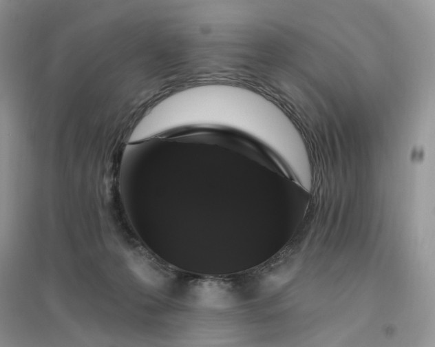 X0000096410223200802071701