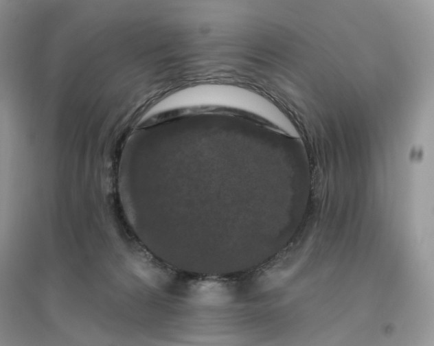 X0000096410224200802071701