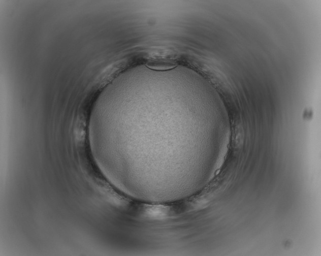 X0000096410226200802071701