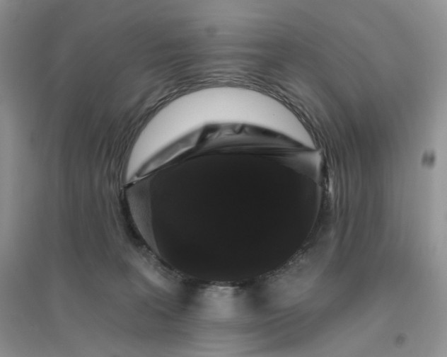 X0000096410227200802071701