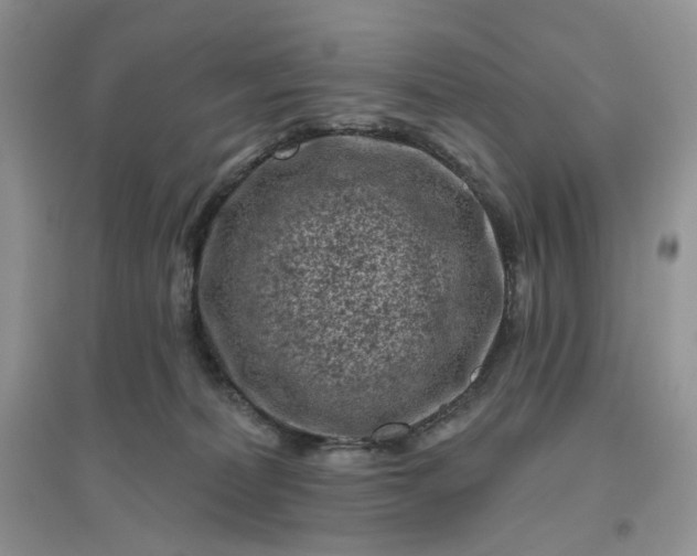 X0000096410228200802071701