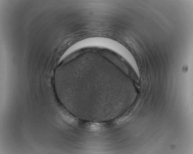 X0000096410229200802071701