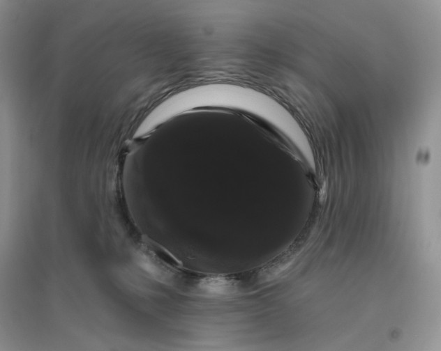 X0000096410231200802071701