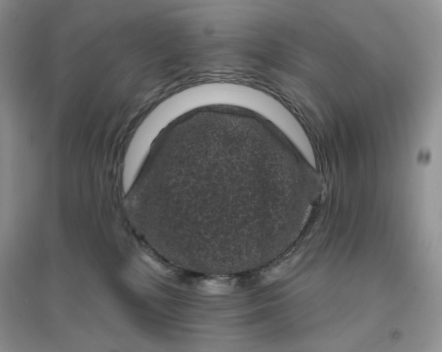 X0000096410232200802071701