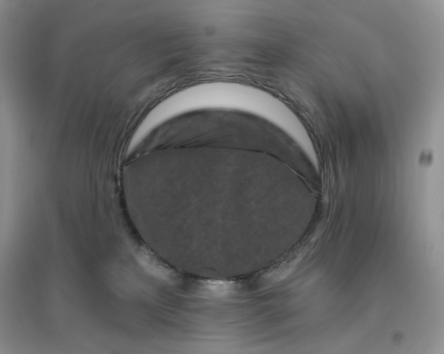 X0000096410233200802071701