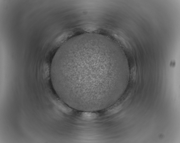 X0000096410234200802071701