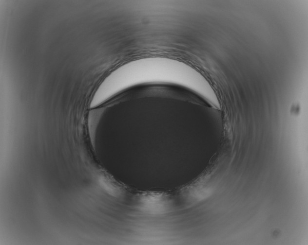 X0000096410235200802071701