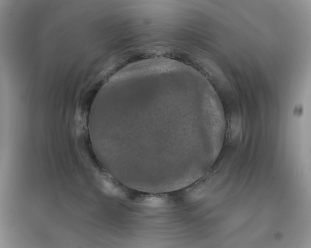 X0000096410236200802071701