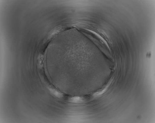 X0000096410237200802071701