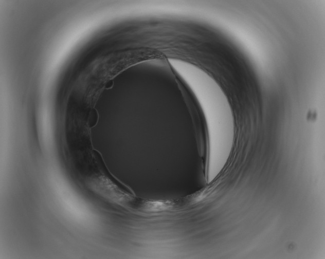 X0000096410239200802071701