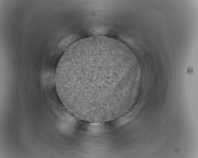 X0000096410240200802071701