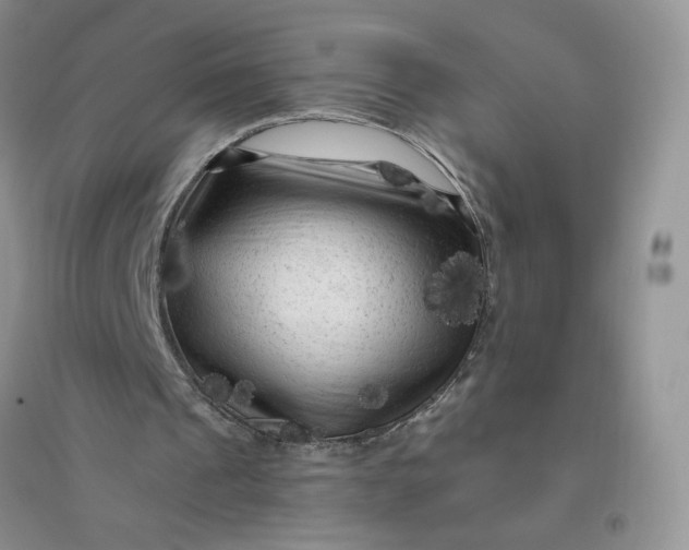 X0000096410241200802071700