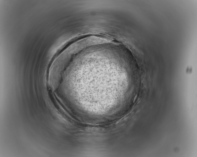 X0000096410242200802071700