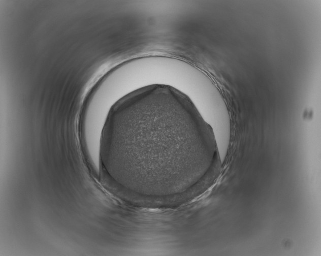 X0000096410244200802071700