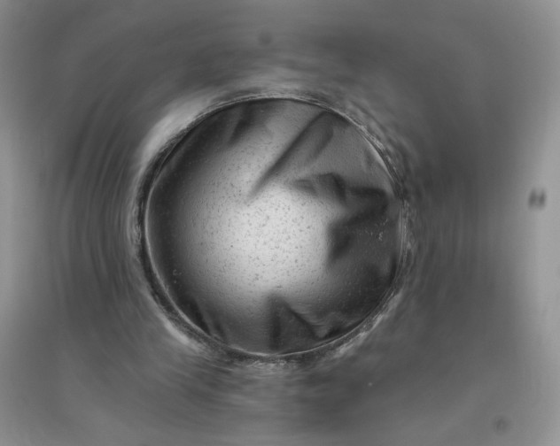 X0000096410245200802071700