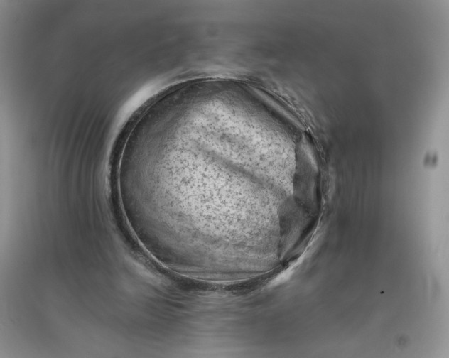 X0000096410246200802071700