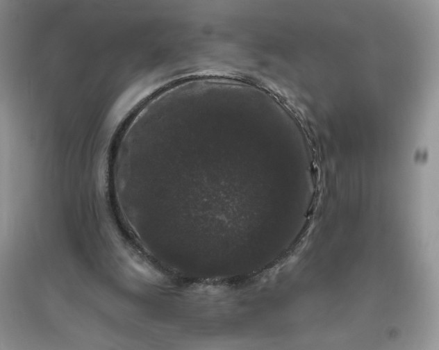 X0000096410247200802071700