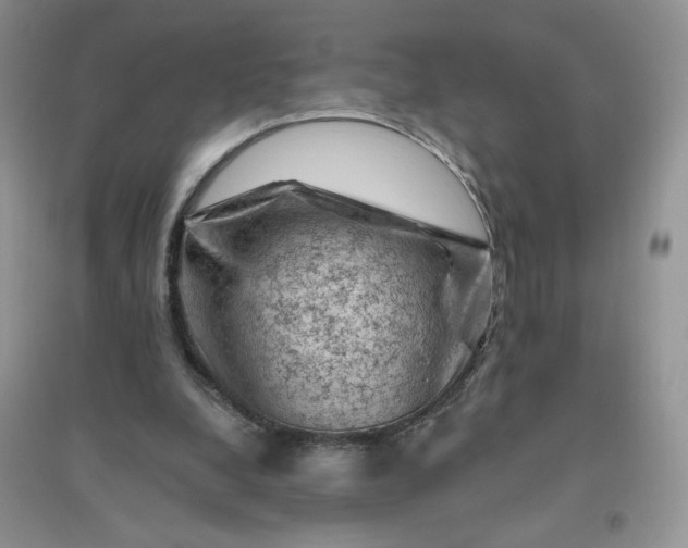 X0000096410248200802071700