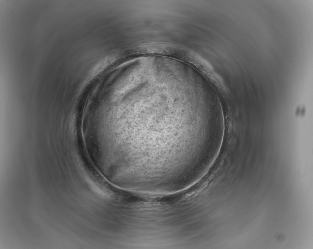 X0000096410250200802071701