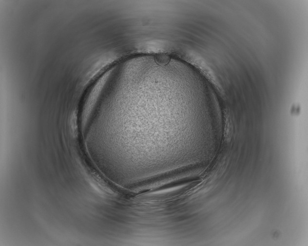 X0000096410251200802071701