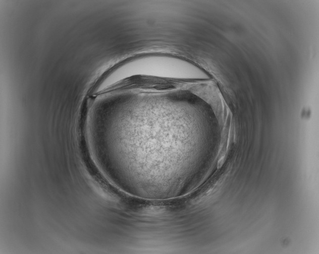 X0000096410252200802071701