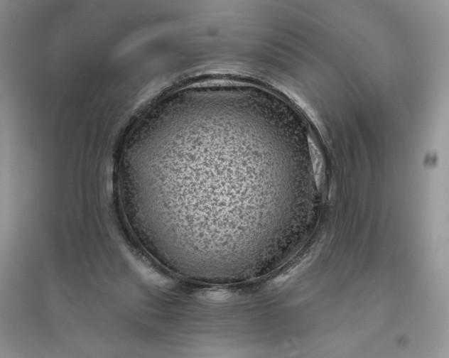 X0000096410253200802071701