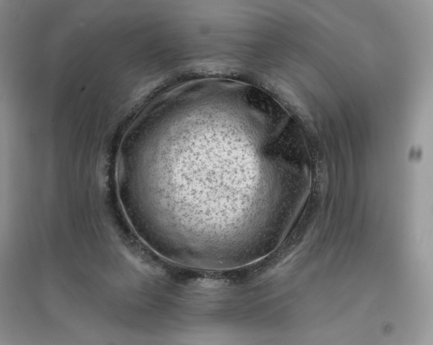 X0000096410255200802071701