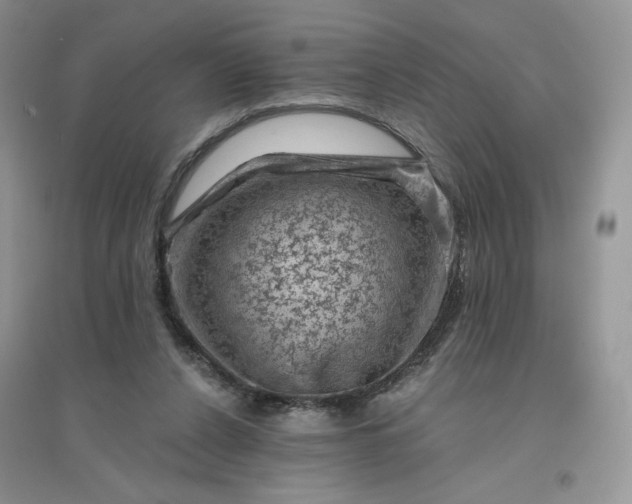 X0000096410256200802071701