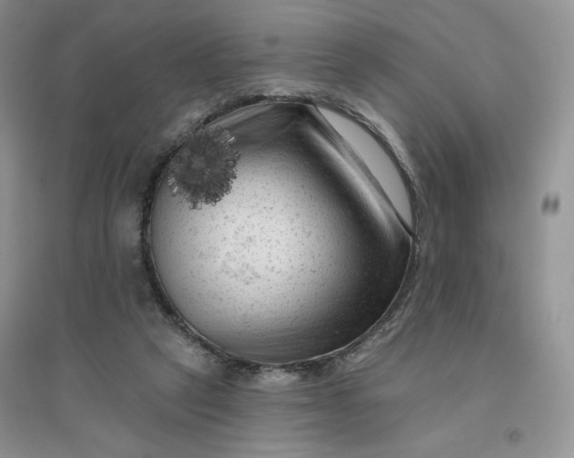 X0000096410257200802071701