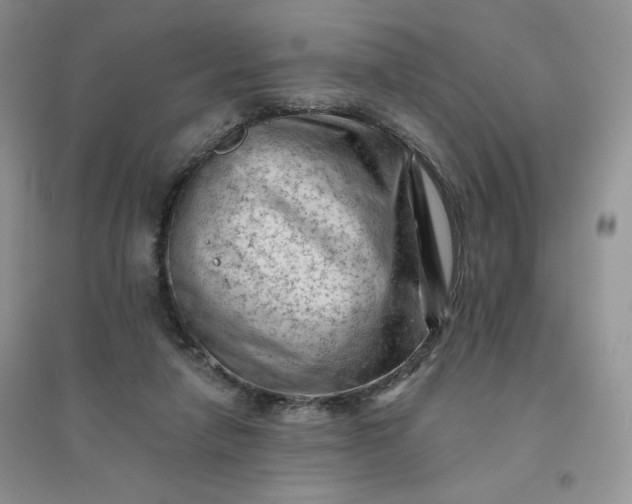 X0000096410258200802071701