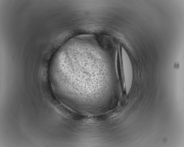 X0000096410259200802071701