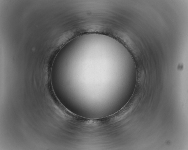 X0000096410261200802071701