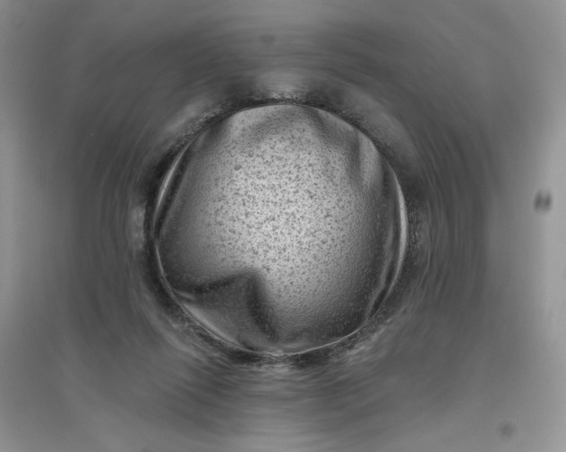 X0000096410262200802071701