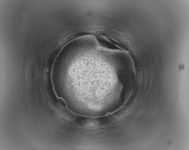 X0000096410263200802071701