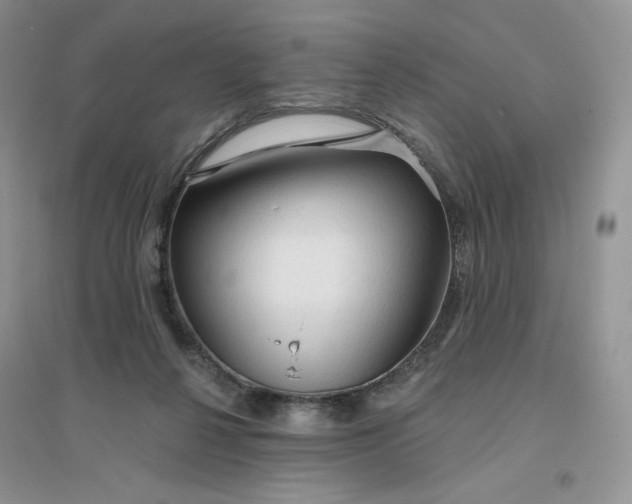 X0000096410264200802071701