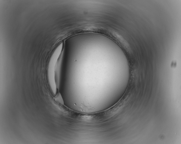 X0000096410265200802071701