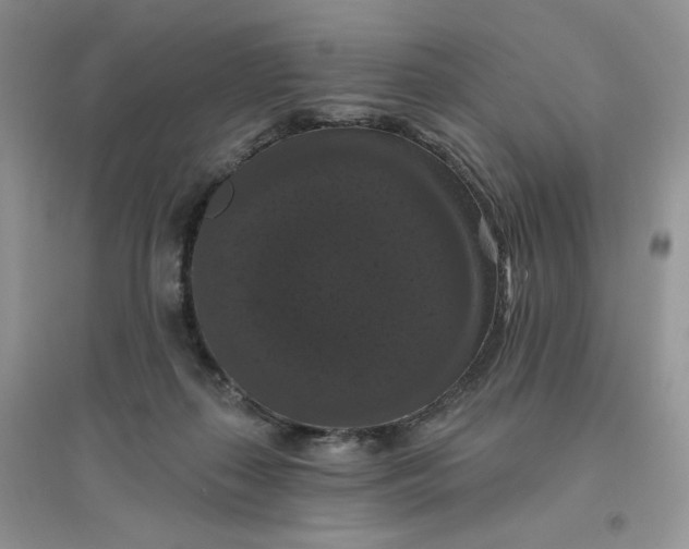 X0000096410267200802071701