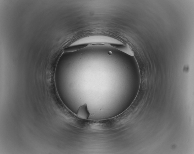 X0000096410268200802071701