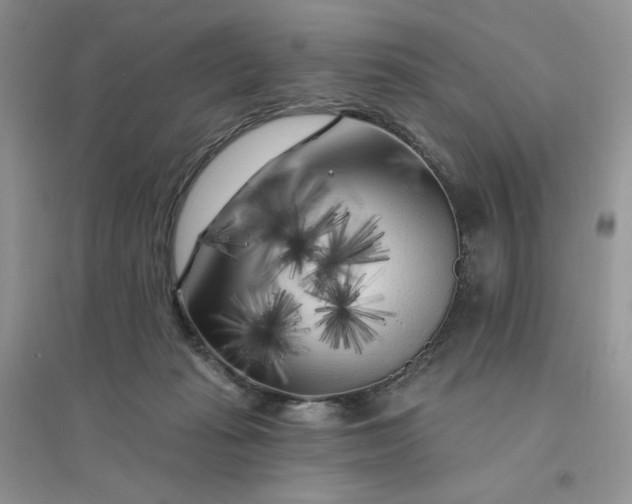 X0000096410269200802071701