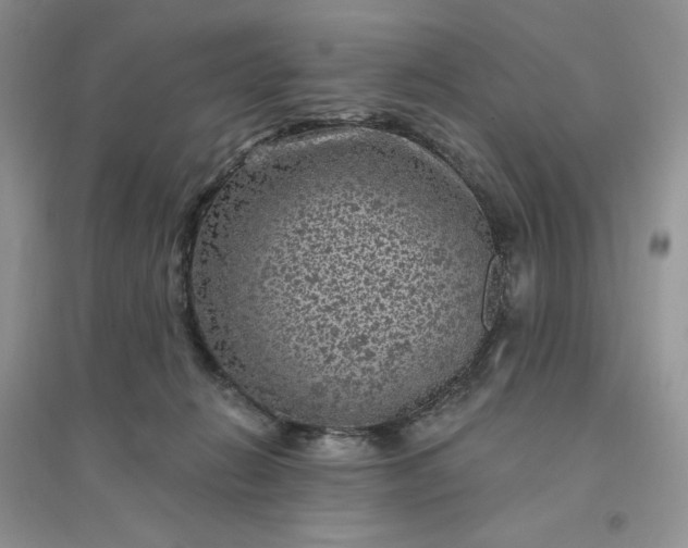 X0000096410270200802071701