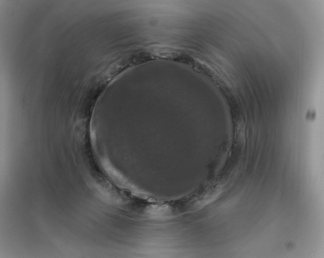 X0000096410271200802071701