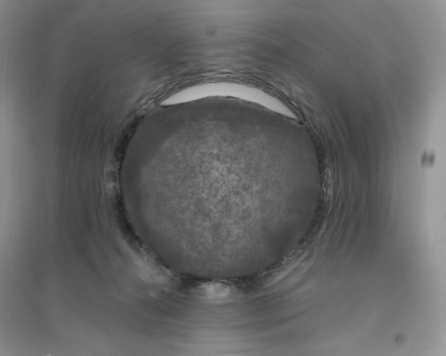 X0000096410272200802071701