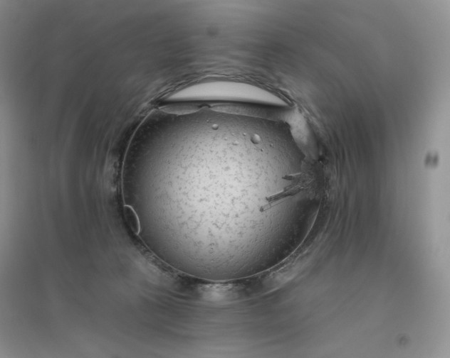 X0000096410273200802071701