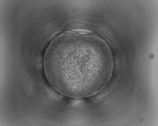 X0000096410274200802071701