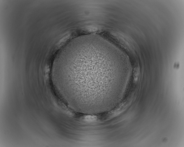 X0000096410279200802071701