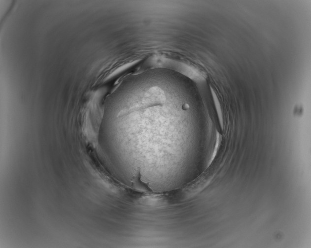 X0000096410280200802071701