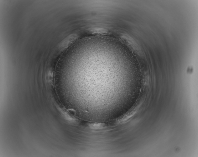 X0000096410281200802071701