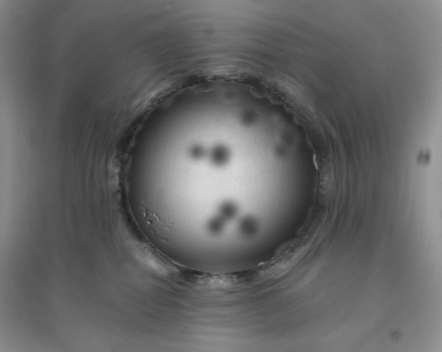 X0000096410282200802071701