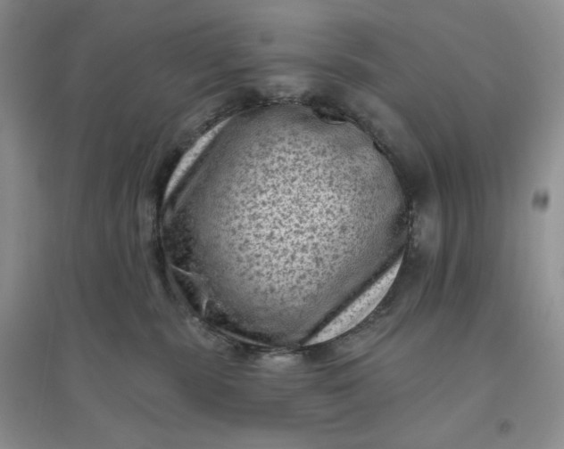 X0000096410283200802071701